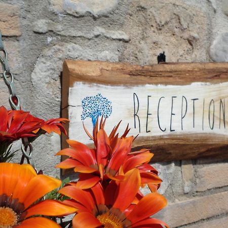 La Locanda Dell'Olmo Орвието Экстерьер фото