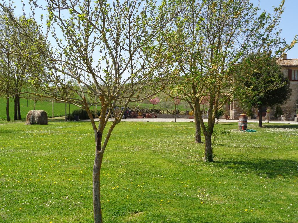 La Locanda Dell'Olmo Орвието Экстерьер фото